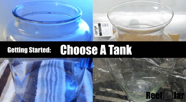 How To Choose A Pico Reef Tank