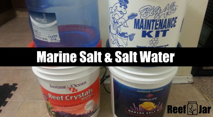 marine salt saltwater